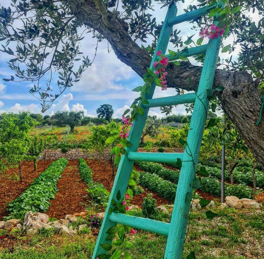 Trulli Pax Animi Villa Martina Franca Buitenkant foto