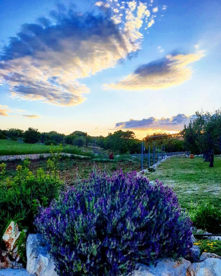 Trulli Pax Animi Villa Martina Franca Buitenkant foto